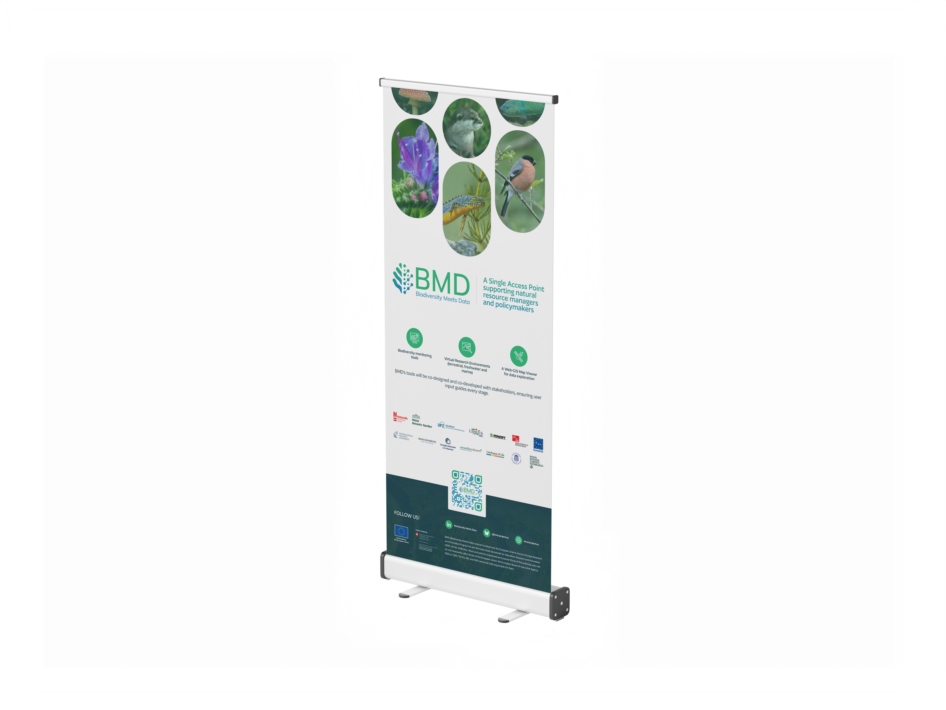 Roll-up banner