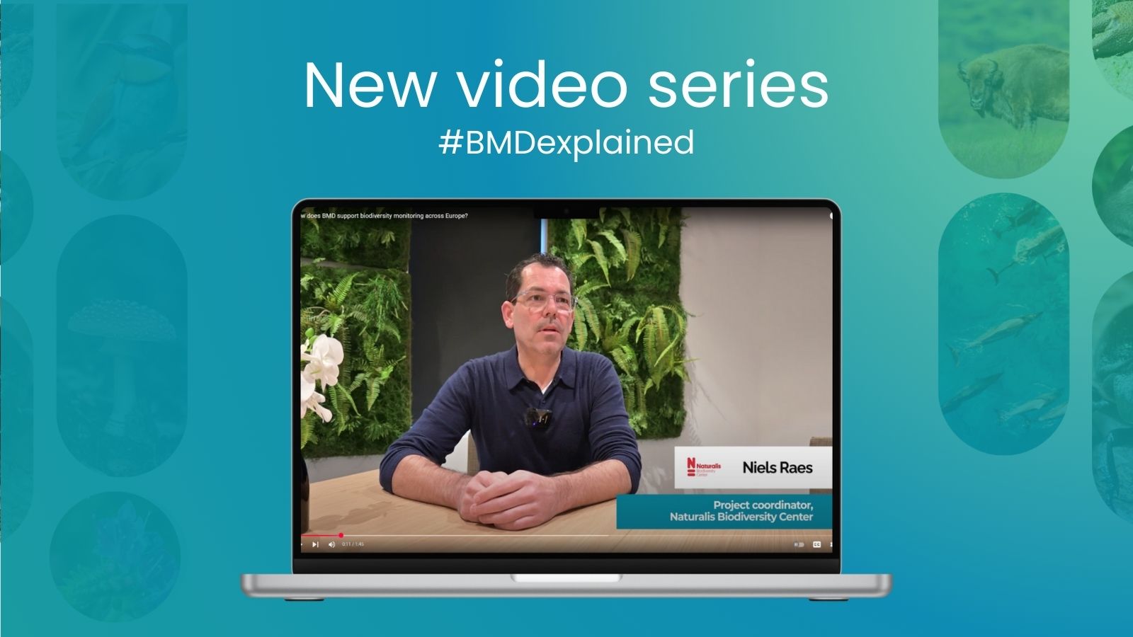 New video series: Introducing #BMDexplained