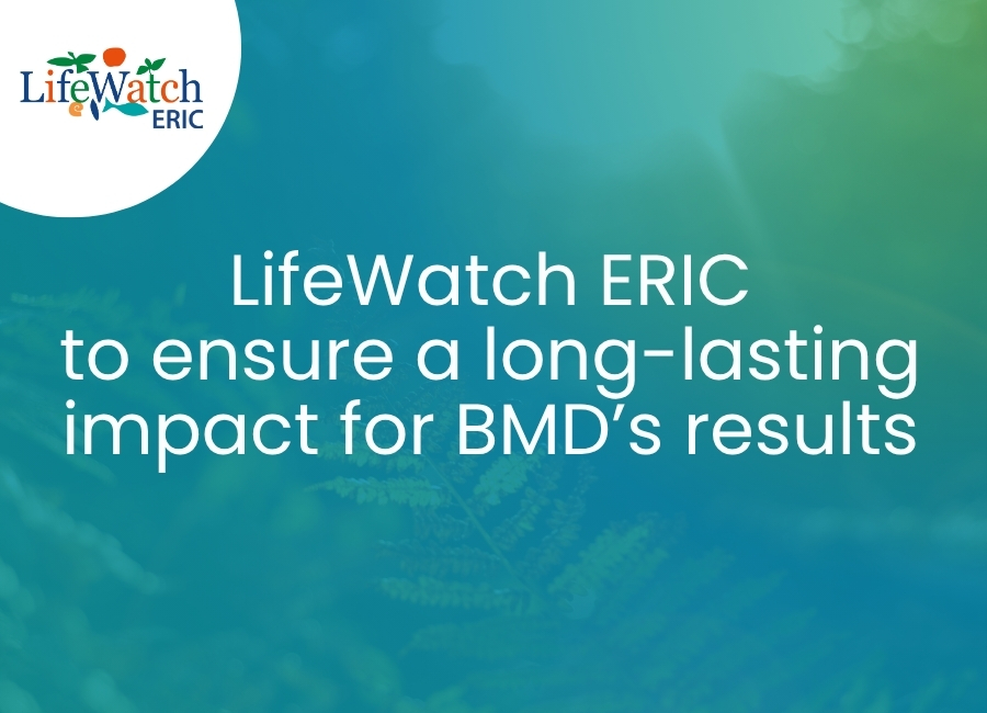 LifeWatch ERIC to ensure a long-lasting impact for BMD’s results