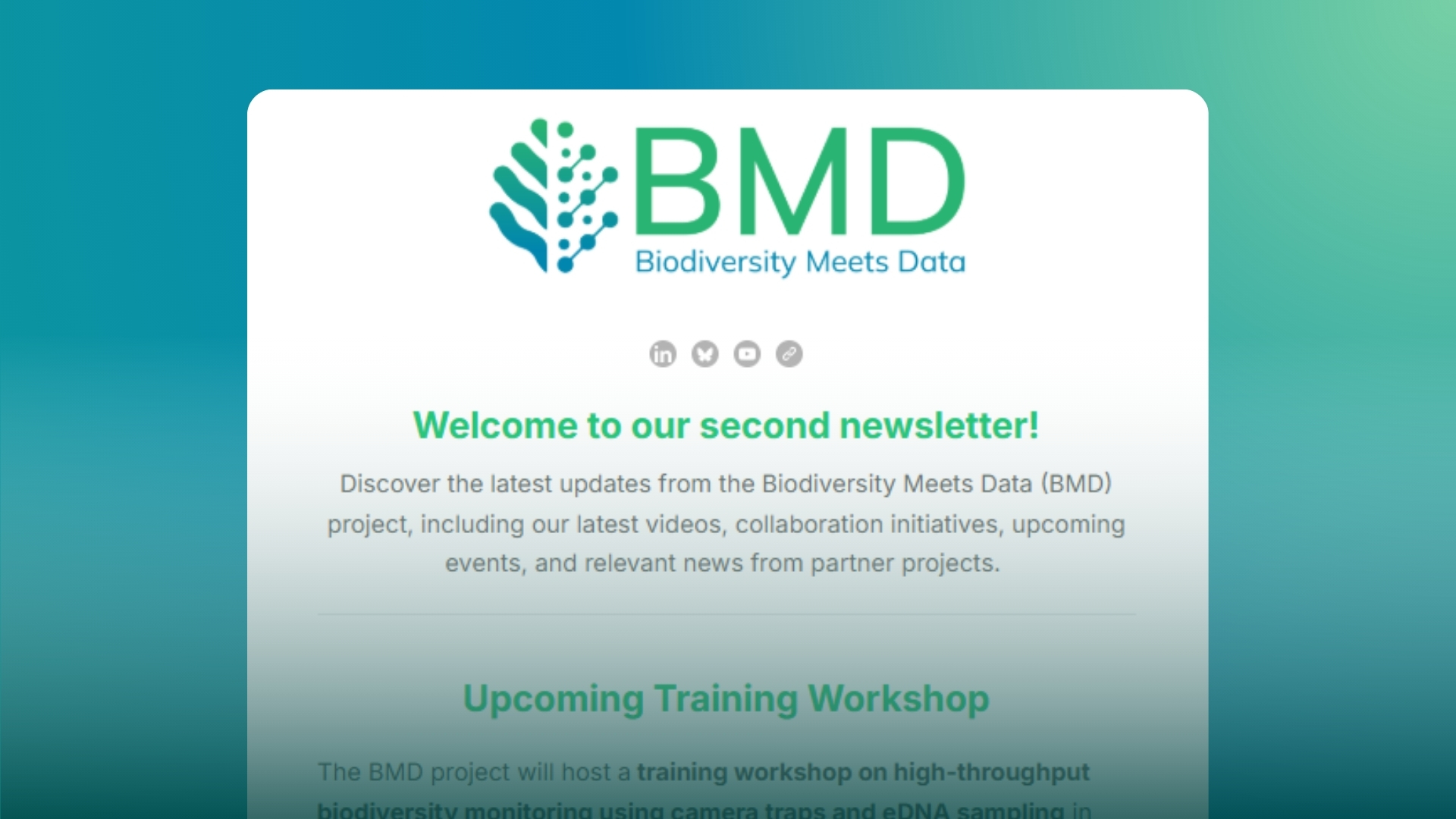 BMD Newsletter, Volume II