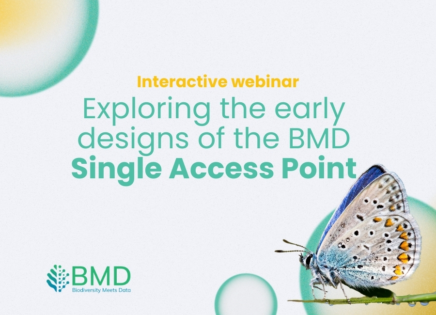 Exploring the early designs of the BMD Single Access Point (Interactive webinar)