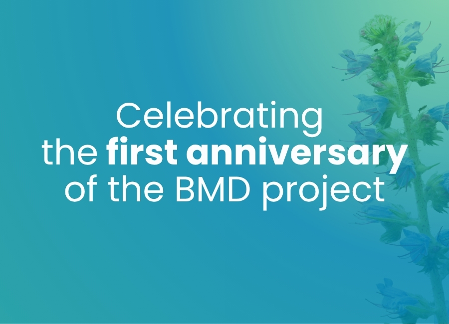 BMD marks its first year