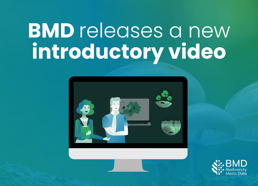 BMD introductory video is now available on YouTube