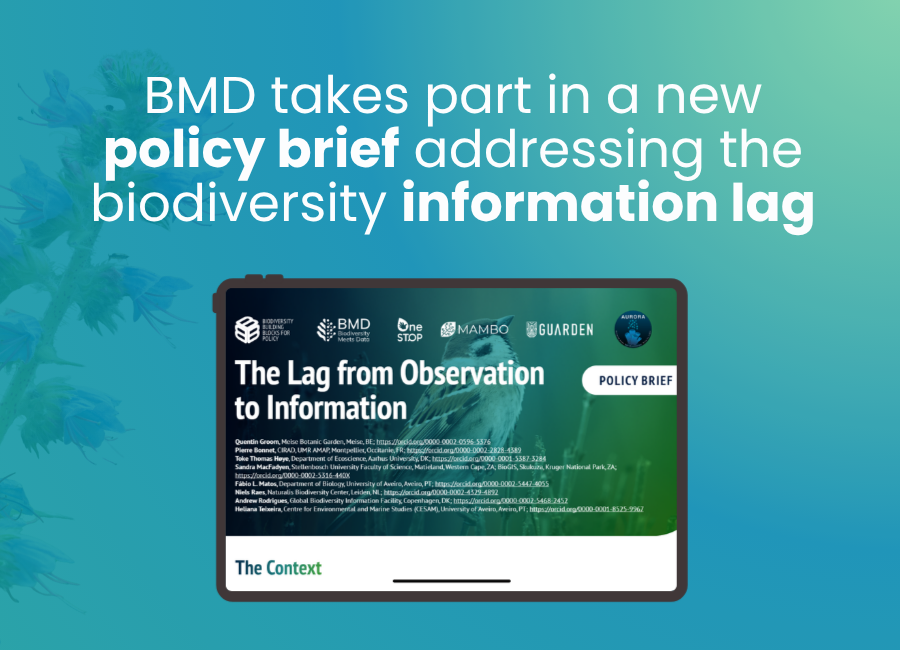 BMD takes part in a new policy brief addressing the biodiversity information lag