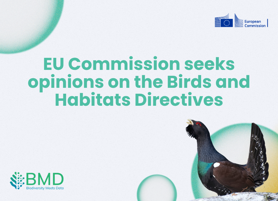 EU Commission seeks opinions on the Birds and Habitats Directive