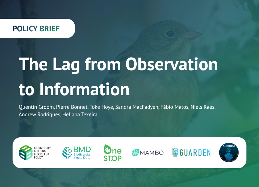 Six research projects work together to reduce the lag between biodiversity data and action