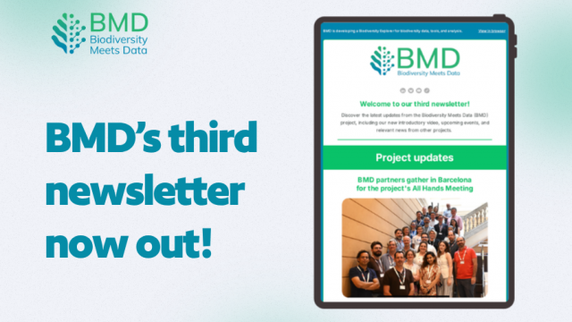 Check out BMD's latest newsletter!