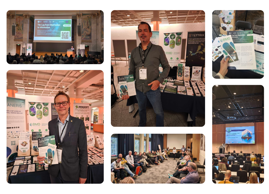 BMD with astounding participation during the TDWG Conference 2026